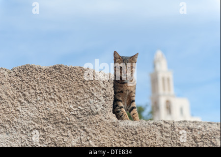 Cat Street à Santorini Grèce Banque D'Images