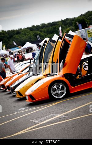 Une ligne de couleur orange principalement des voitures de sport Lamborghini Banque D'Images