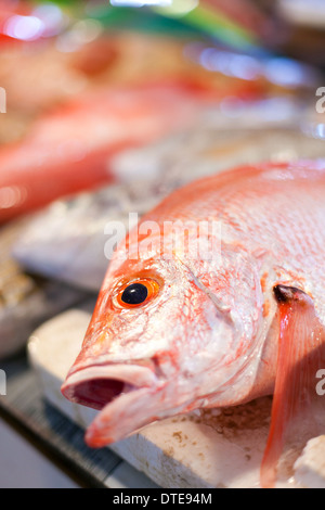 Lapu-lapu, le vivaneau et le thon, fruits de mer sur le marché asiatique Banque D'Images