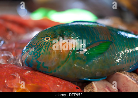 Poisson perroquet frais, fruits de mer sur le marché asiatique Banque D'Images