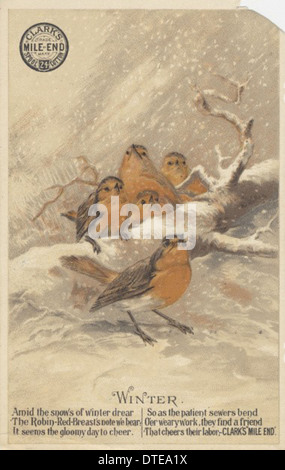 Cette carte commerciale victorienne de Clark's Spool Cotton présente des oiseaux, en particulier des voleurs, dans un cadre hivernal. Il met en lumière les techniques de marketing saisonnier de l’époque, associant la marque de coton à des images de la nature et des saisons changeantes. Banque D'Images