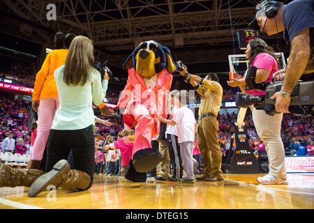 Knoxville, TN, USA. 16 Février, 2014. 16 février 2014:UT mascot Smokey prend la cour avant l'entre jeu de basket-ball de NCAA de l'Université du Tennessee Lady Vols et les Wildcats de Kentucky à Thompson-Boling Arena de Knoxville, TN Crédit : csm/Alamy Live News Banque D'Images