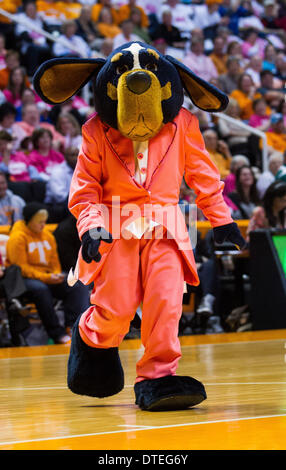 Knoxville, TN, USA. 16 Février, 2014. 16 février 2014:UT mascot Smokey pendant le match de basket-ball de NCAA entre l'Université du Tennessee Lady Vols et les Wildcats de Kentucky à Thompson-Boling Arena de Knoxville, TN Crédit : csm/Alamy Live News Banque D'Images