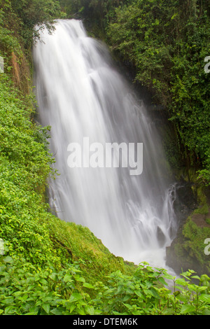 Cascade de Peguche, près d'Otavalo Banque D'Images