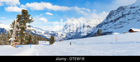 Vue panoramique sur une pente de ski à Grindelwald, Suisse. Banque D'Images