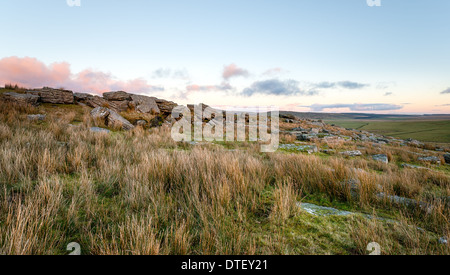 Alex Tor sur Bodmin Moor en Cornouailles Banque D'Images