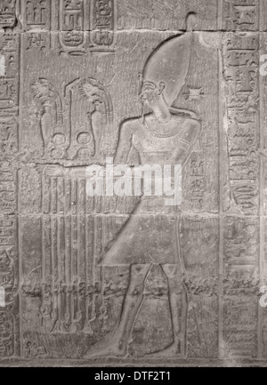 Détail d'un relief en pierre historique montrant un pharaon en Egypte Banque D'Images