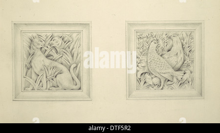 Dessins pour le Musée d'Histoire Naturelle, par Alfred Waterhouse (1830-1905) Banque D'Images