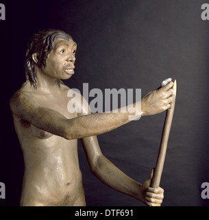 Homo neanderthalensis, femme de Neandertal (Tabun C1) Banque D'Images