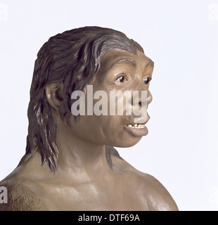 Homo neanderthalensis, femme de Neandertal (Tabun C1) Banque D'Images