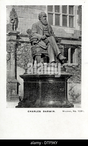 Charles Robert Darwin (1809-1882) Banque D'Images