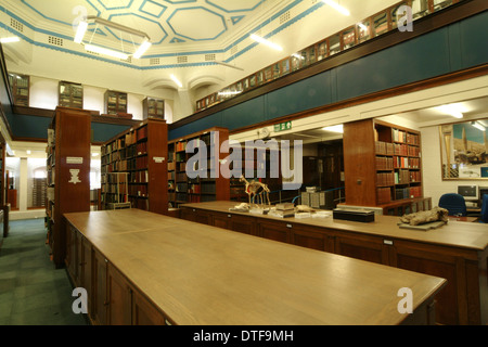 La salle des Collections spéciales de la bibliothèque botanique Banque D'Images