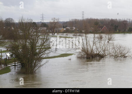 Chertsey Surrey, UK. 17 février 2014. Vue d'un paysage inondé près de Chertsey Surrey. L'Agence a émis des avertissements de temps violent pour les zones le long de la Tamise Crédit : amer ghazzal/Alamy Live News Banque D'Images