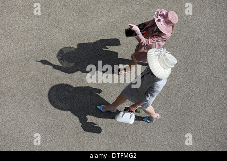 Ascot, Royaume-Uni, les femmes élégamment vêtu avec chapeau aux courses Banque D'Images