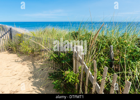 Plage Marconi picket fence et des dunes de sable, Cape Cod Banque D'Images