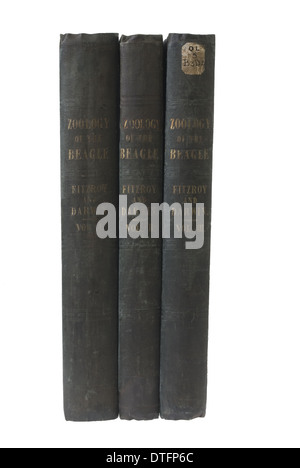 La zoologie du voyage de HMS Beagle Banque D'Images
