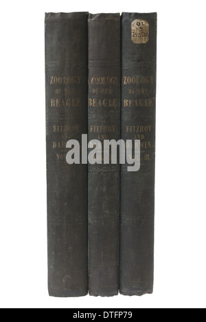 La zoologie du voyage de HMS Beagle Banque D'Images