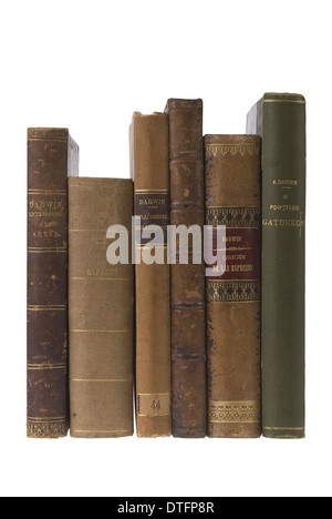 L'origine des espèces Banque D'Images