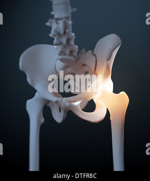 Illustration - l'anatomie de la douleur de hanche et du bassin Banque D'Images