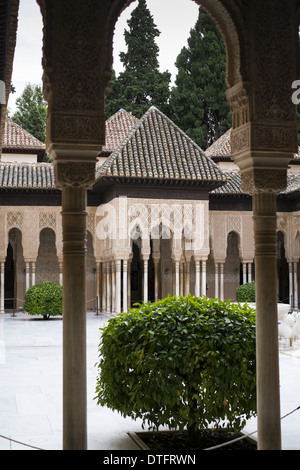 Ornate arches mauresques dans l'Alhambra Granada Andalousie Espagne. Banque D'Images