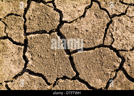 Le changement climatique, un sol sec. Banque D'Images