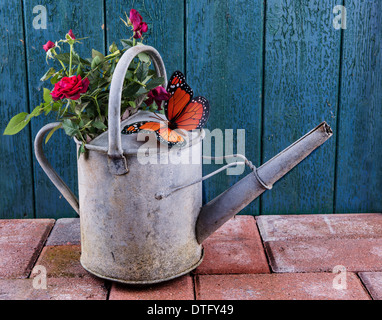 Vintage arrosoir avec roses sur un patio contre une vieille porte Banque D'Images