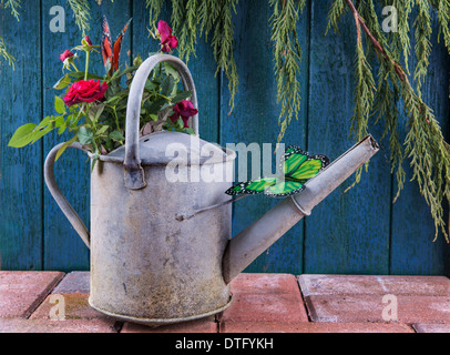 Vintage arrosoir avec roses sur un patio contre une vieille porte Banque D'Images