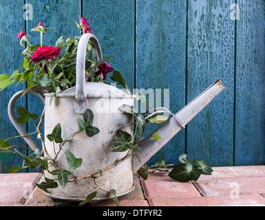 Vintage arrosoir avec roses sur un patio contre une vieille porte Banque D'Images