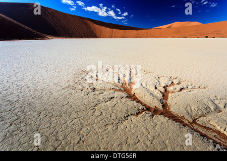 Les flux d'eau ont quitté la voie de drainage dans le disque de boue cuite en croûte de sel dans la conception d'un arbre dans la namibie Banque D'Images