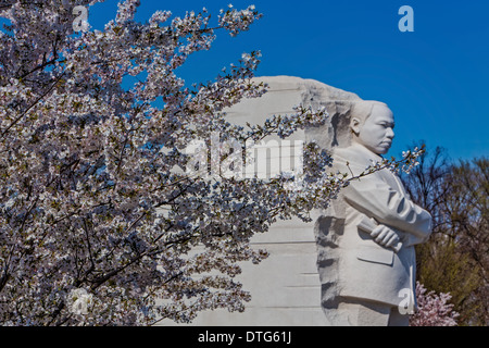 Le Dr. Martin Luther King Jr.'s Memorial au cours de la 2013 Cherry Blossom Festival à Washington DC. L'adresse officielle du monument, 1964 Independence Avenue, S.W., commémore l'année que le Civil Rights Act de 1964 est entrée en vigueur. Banque D'Images