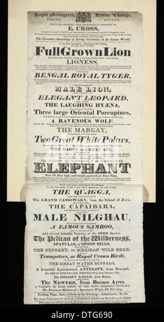 Ménagerie royale, changement d'Exeter, Strand, London Banque D'Images