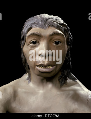 Homo neanderthalensis, femme de Neandertal (Tabun C1) Banque D'Images