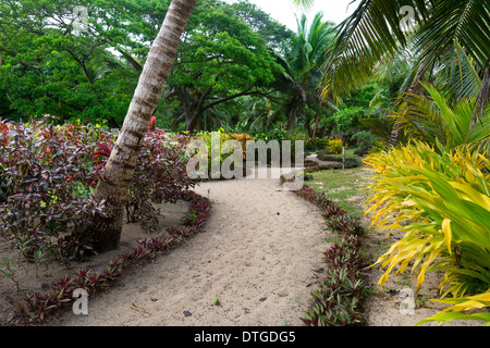 Un parcours dans un luxuriant jardin resort pacifique sud montre le détail donné à l'élégance. Banque D'Images