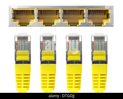 Les câbles Ethernet isolés contre un fond uni Banque D'Images