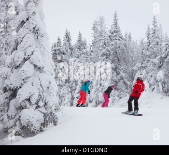 Mont-Tremblant, Canada - le 9 février 2014 : les néviplanchistes sont glissant sur une pente facile au Mont-Tremblant. Banque D'Images