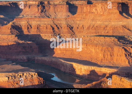 Début de la lumière sur le fleuve Colorado qui serpente à travers le col de cygne à Dead Horse Point State Park, Utah. Banque D'Images