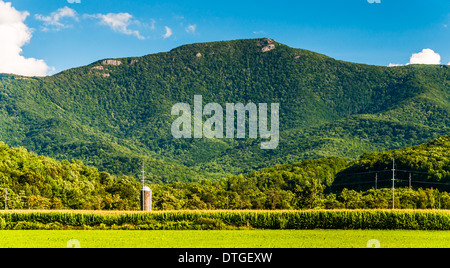 Les champs agricoles et la vue des Blue Ridge Mountains dans la vallée de Shenandoah, en Virginie. Banque D'Images