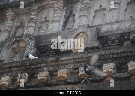 (140218) -- Bodh Gaya (Inde), le 18 février 2014 (Xinhua) -- Photo prise le 17 février 2014 montre une partie du grand temple de Du Temple de la Mahabodhi à Bodhgaya, Etat du Bihar, l'Est de l'Inde. Du Temple de la Mahabodhi constitue l'un des quatre lieux saints liés à la vie du Bouddha, et en particulier à l'accomplissement de l'Illumination. Le premier temple a été construit par l'empereur Asoka au iiie siècle avant J.-C., et le temple actuel date du 5ème ou 6ème siècles. C'est l'un des plus anciens temples Bouddhistes construits en brique, toujours debout dans l'Inde, de la période Gupta. (Xinhua/Chen Banque D'Images