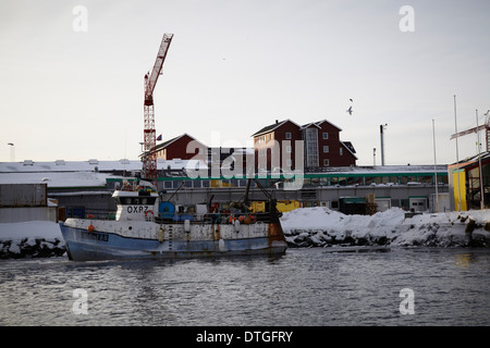 Bateaux de pêche au port de la ville de Nuuk, Groenland Banque D'Images