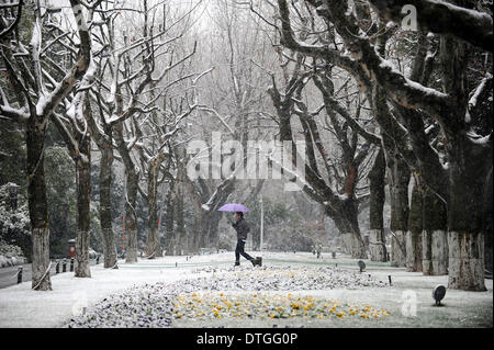 Hangzhou, Chine, Province de Zhejiang. Feb 18, 2014. Un homme marche dans la neige à Hangzhou, capitale de la Chine de l'est la province du Zhejiang, le 18 février 2014. Credit : Ju Huanzong/Xinhua/Alamy Live News Banque D'Images