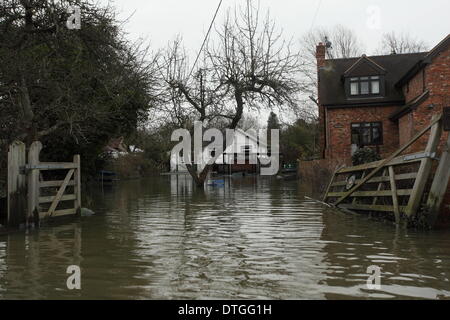 Vallée de la Tamise, au Royaume-Uni . Feb 17, 2014. Maison Fooded sur Friary Island, près de Wraysbury Staines. Les eaux de crue restent élevés après inondations dans toute la vallée de la Tamise. Credit : Zute Lightfoot/Alamy Live News Banque D'Images