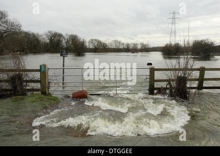 Chertsey, vallée de la Tamise, au Royaume-Uni. Les eaux de crue de la vidange road sur une plaine inondable en bordure de la rivière Thames. Banque D'Images