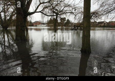 Vallée de la Tamise, au Royaume-Uni . Feb 17, 2014. Maisons inondées sur les rives de la Tamise près de Staines. Les eaux de crue restent élevés après la dernière semaines inondations dans toute la vallée de la Tamise. Credit : Zute Lightfoot/Alamy Live News Banque D'Images