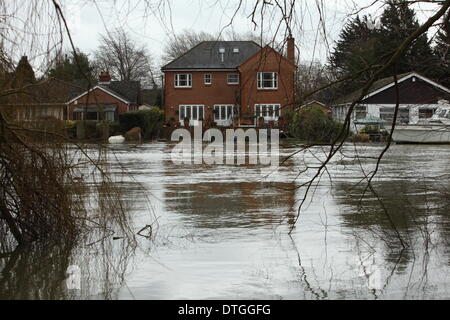 Vallée de la Tamise, au Royaume-Uni . Feb 17, 2014. Maisons inondées sur les rives de la Tamise près de Staines. Les eaux de crue restent élevés après la dernière semaines inondations dans toute la vallée de la Tamise. Credit : Zute Lightfoot/Alamy Live News Banque D'Images