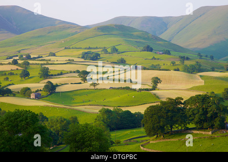 Scène pastorale de Hill Farms au-dessous de la Lande Cap Sud Yorkshire Dales National Park,Cumbria. L'heure du foin Banque D'Images