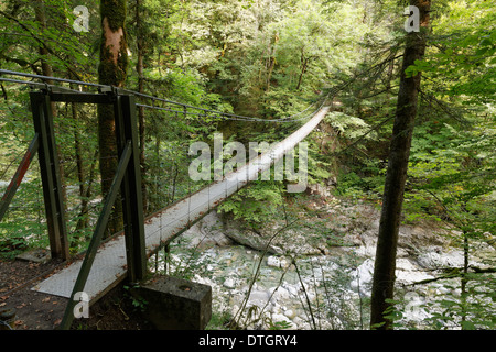 Suspension Bridge à travers le Subersbach creek, construit en 1901, l'oeuf, Erétria, forêt de Bregenz, Vorarlberg, Autriche Banque D'Images