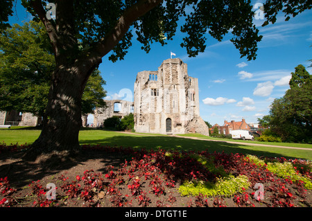 Château de Newark, dans le bourg de Newark on Trent, Dorset UK Banque D'Images