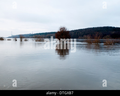 Inondation sur l'Elbe près de Remscheid, Allemagne. Banque D'Images