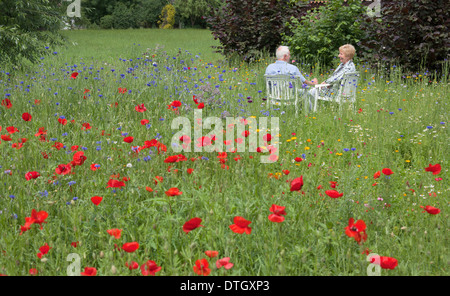 Couple assis sur une prairie en fleurs avec des coquelicots (Papaver rhoeas), Basse-Saxe, Allemagne Banque D'Images