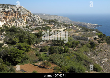 Côte sud de falaises de Dingli, Malte Banque D'Images